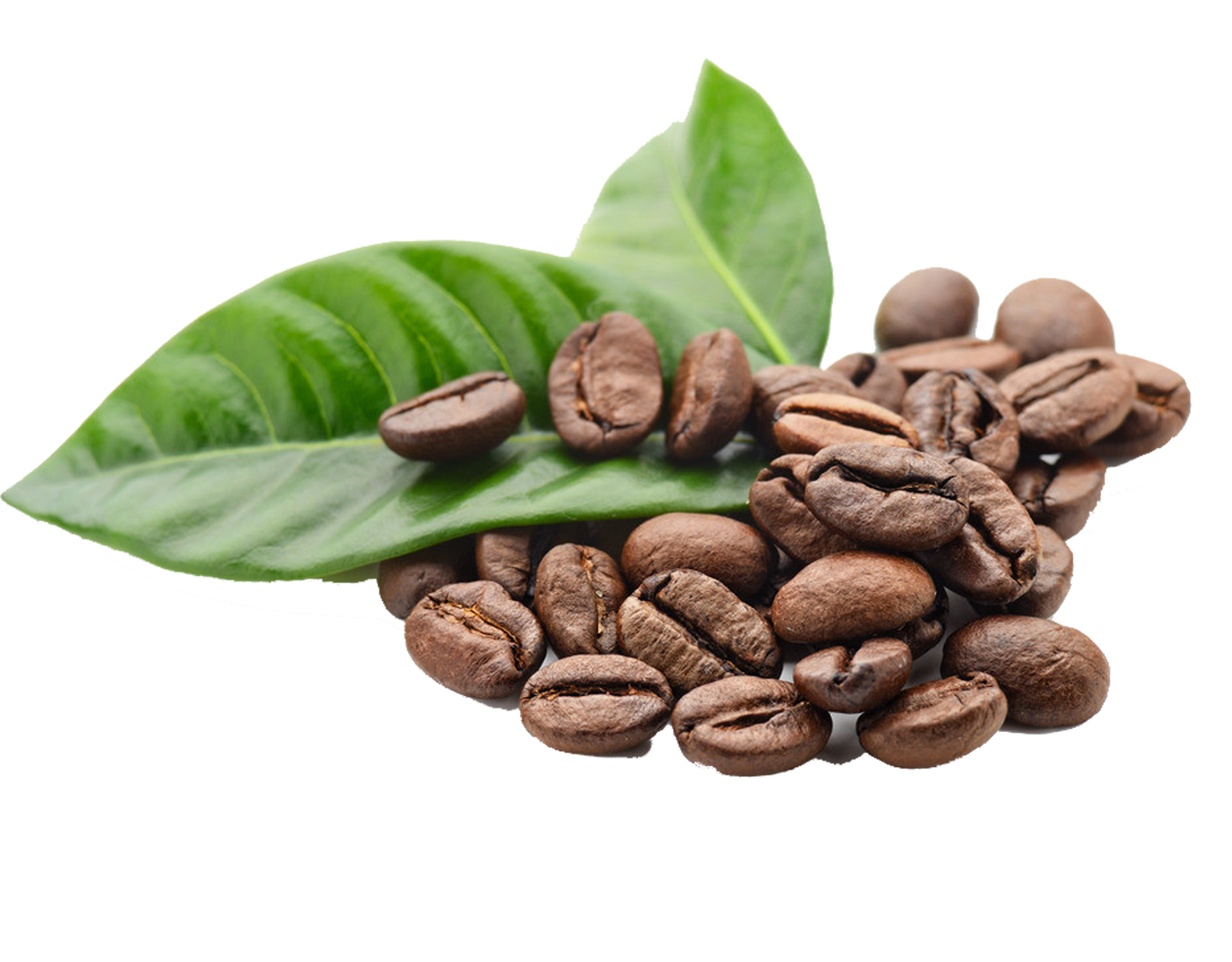 Kopi Berkualitas